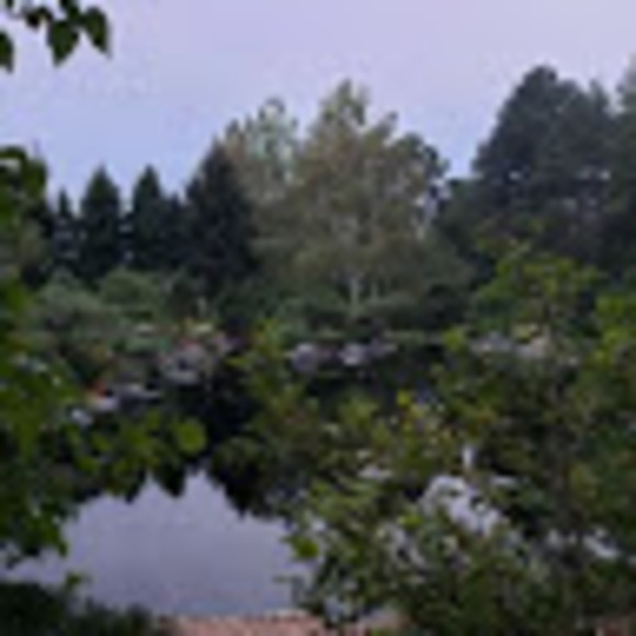 Meet your Posher, Natasha - Picture 1 of 1